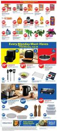 Lidl Weekly Ad week 30 Page 2