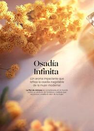Catálogo Yanbal Página 30