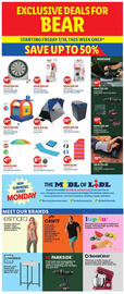Lidl Weekly Ad Page 3
