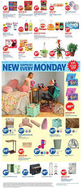 Lidl Weekly Ad Page 4