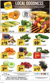 Food Lion Weekly Ad week 30 Page 13