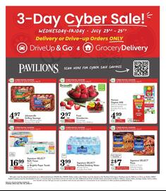 Pavilions Weekly Ad week 30 Page 6