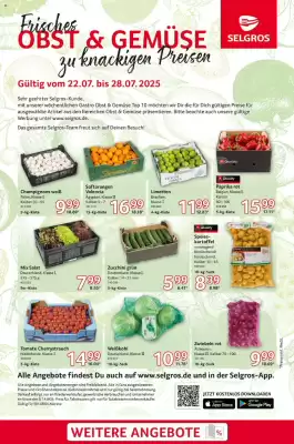 Selgros Prospekt (gültig bis 28-07)