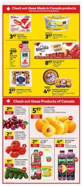 Giant Tiger flyer week 30 Page 3