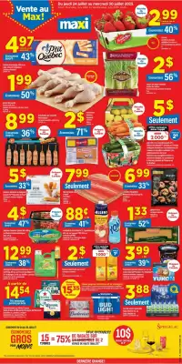 Maxi flyer