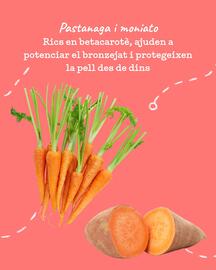 Folleto Sorli Página 4