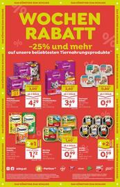 ADEG Flugblatt woche 31 Seite 12