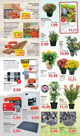 Wiglo Wunderland Prospekt woche 30 Seite 7
