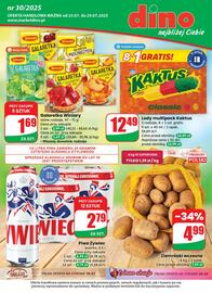 Dino gazetka tydzień 30 Strona 1