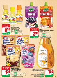Dino gazetka tydzień 30 Strona 13