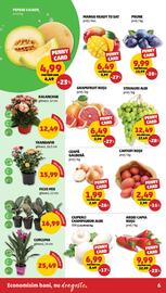 Catalog Penny Pagină 6