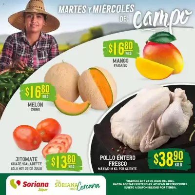 Catálogo Soriana Súper (válido hasta 24-07)