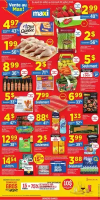 Maxi flyer