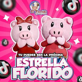 Catálogo El Florido Página 1