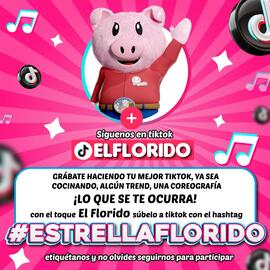 Catálogo El Florido Página 2