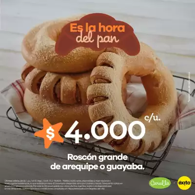 Catálogo Éxito (válido hasta 9-08)