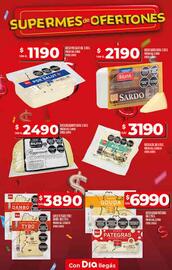 Catálogo Supermercados DIA semana 30 Página 11