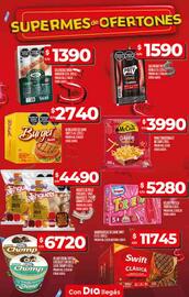 Catálogo Supermercados DIA semana 30 Página 12