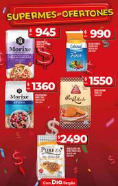 Catálogo Supermercados DIA semana 30 Página 14