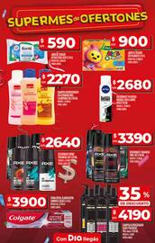 Catálogo Supermercados DIA semana 30 Página 19