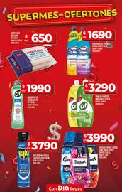 Catálogo Supermercados DIA semana 30 Página 20