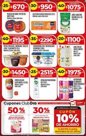 Catálogo Supermercados DIA semana 30 Página 3