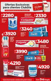 Catálogo Supermercados DIA semana 30 Página 51