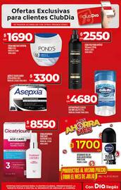 Catálogo Supermercados DIA semana 30 Página 52