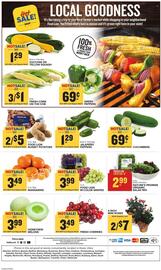 Food Lion Weekly Ad week 30 Page 8