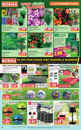 Catalogue Norma semaine 31 page 4