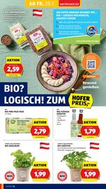 Hofer Flugblatt woche 30 Seite 14