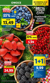 Lidl gazetka Strona 19