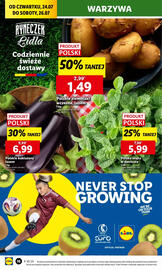 Lidl gazetka Strona 20