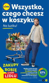 Lidl gazetka Strona 3