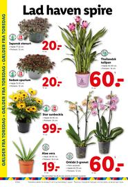 Lidl tilbudsavis uge 31 Side 35
