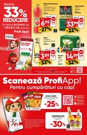 Catalog PROFI Pagină 10