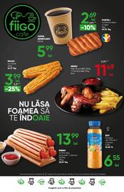 Catalog PROFI Pagină 17