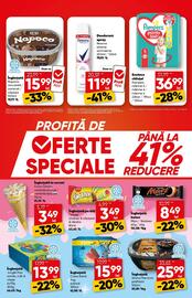 Catalog PROFI Pagină 3