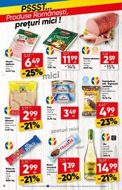 Catalog PROFI Pagină 4