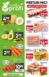 Catalog PROFI Pagină 6