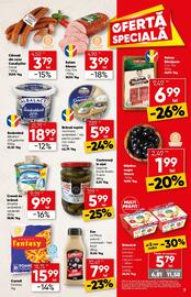 Catalog PROFI Pagină 7