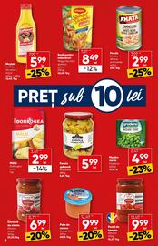 Catalog PROFI Pagină 8