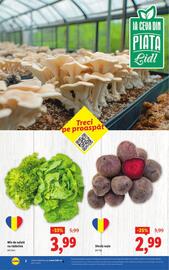 Catalog Lidl săptămâna 31 Pagină 2