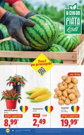 Catalog Lidl săptămâna 31 Pagină 28