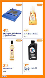 Action Prospekt woche 30 Seite 22