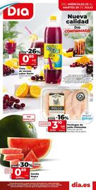 Folleto Dia Fresh semana 30 Página 1