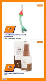 Action Flugblatt woche 30 Seite 16