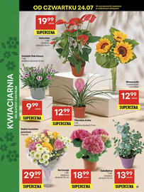 Delikatesy Centrum gazetka tydzień 30 Strona 17