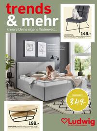 Möbel Ludwig Flugblatt Seite 1