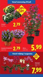 Lidl folder week 31 Pagina 12